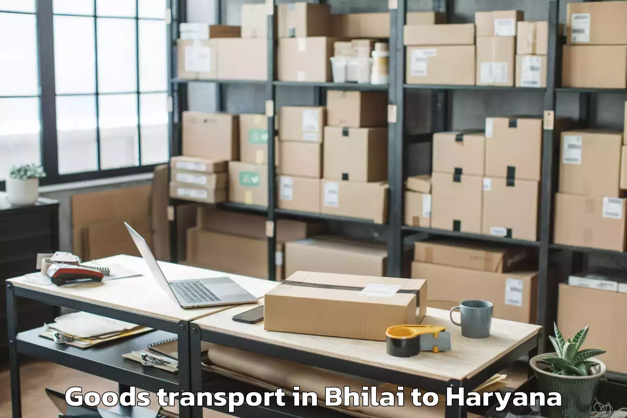 Trusted Bhilai to Manav Rachna University Farida Goods Transport